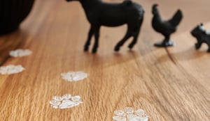 5871_23_Bodahl_046 copie-1